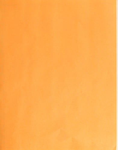 Growing garden potatoes