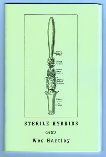 Sterile Hybrids