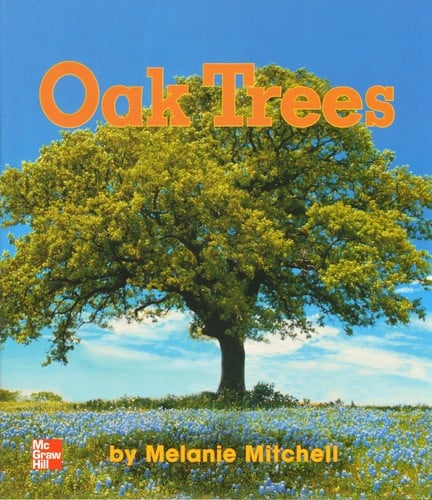 Oak Trees [big book]