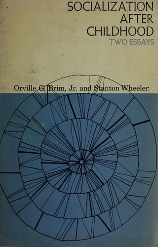 Socialization after childhood