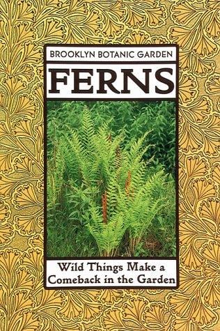 Ferns