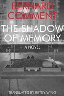 The shadow of memory