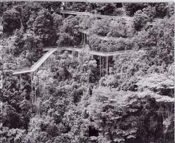 Telok Blangah Hill Park (A Survey)