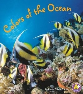 Colors of the ocean