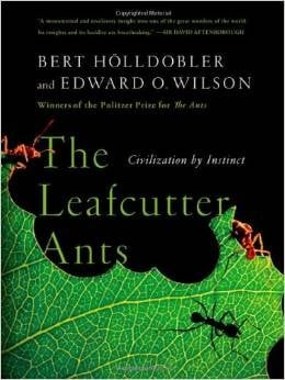 The Leafcutter Ants