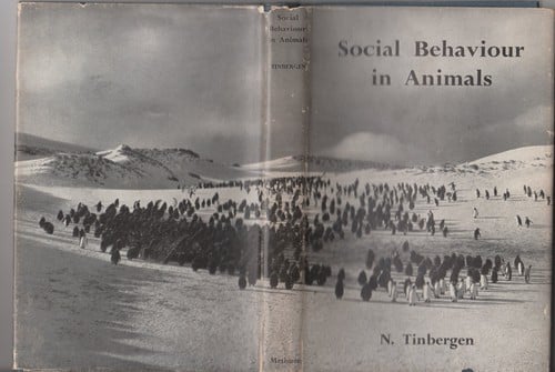 Social behaviour in animals