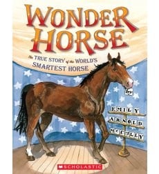 Wonder horse