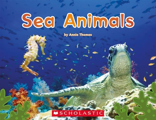 Sea Animals