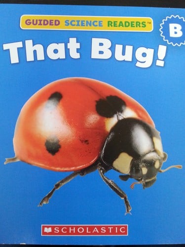 That Bug!