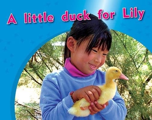 A Little Duck for Lily
