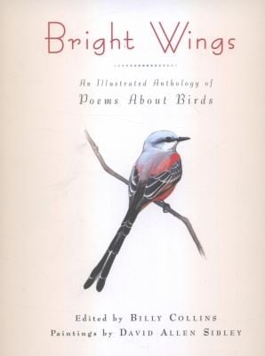 Bright Wings An Illustrated Anthology Of Poems About Birds