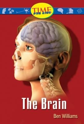 The Brain