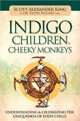 Indigo Children Cheeky Monkeys Understanding Celebrating The Uniqueness Of Every Child
