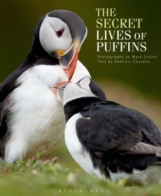 The Secret Lives Of Puffins