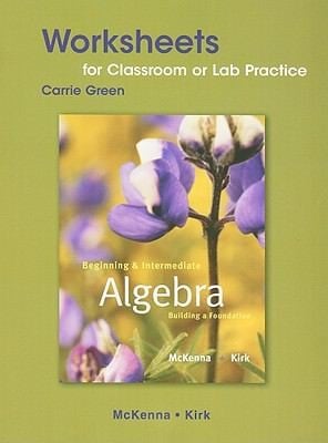 Beginning And Intermediate Algebra Classroom Worksheets Lab Practice Building A Foundation