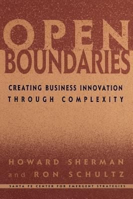 Open Boundaries Creating Business Innovation Through Complexity