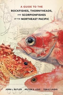 A Guide To The Rockfishes Thornyheads And Scorpionfishes Of The Northeast Pacific