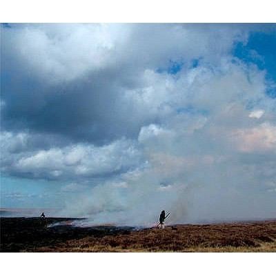 Setting The Fell On Fire Allenheads Contemporary Arts Contemporary Art In A Rural Context