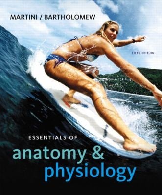 Essentials Of Anatomy And Physiology