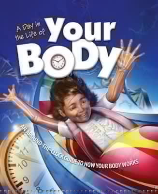 A Day In The Life Of Your Body