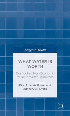 What Water Is Worth Overlooked Noneconomic Value In Water Resources