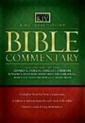 Bible commentary