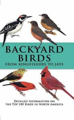 Backyard Birds From Kingfishers To Jays Detailed Information On The Top 100 Birds In North America