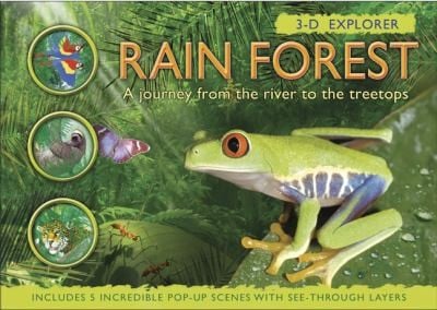 Rain Forest A Journey From The River To The Treetops