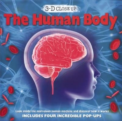 The Human Body