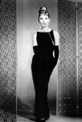 Audrey Hepburn Standing Journal