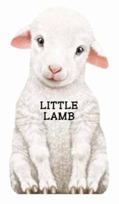 Little Lamb
            
                Mini Look at Me Books