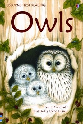 Owls
            
                Usborne First Reading Level 4