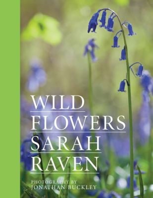 Sarah Ravens Wild Flowers