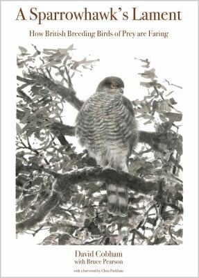 A Sparrowhawks Lament