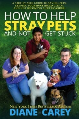 How to Help Stray Pets and Not Get Stuck