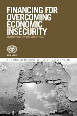 Development Financing and Economic Insecurity