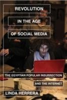 Revolution In The Age Of Social Media The Egyptian Popular Insurrection And The Internet