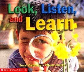 Look, listen and learn