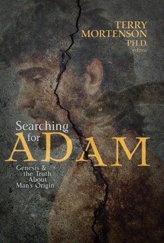Searching for Adam
