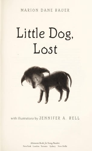 Little dog, lost