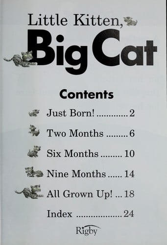 Little kitten, big cat