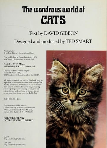 The wondrous world of cats