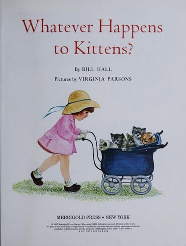 Whatever happens to kittens?