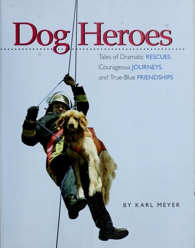 Dog heroes
