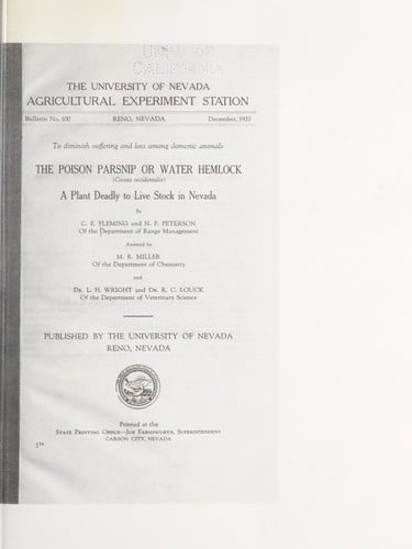 The poison parsnip or water hemlock