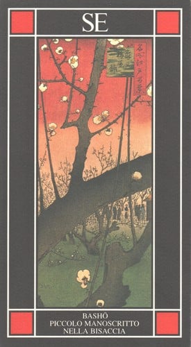 Piccolo manoscritto nella bisaccia