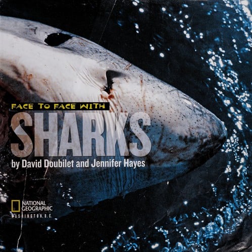 Face to face with sharks