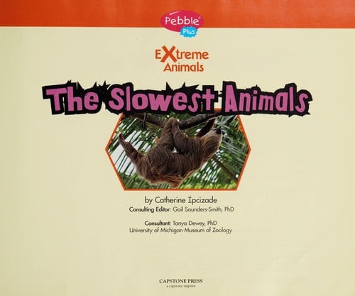 The slowest animals