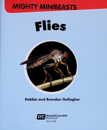 Flies