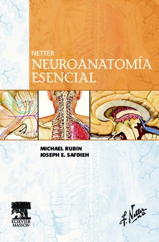 Netter. Neuroanatomía esencial